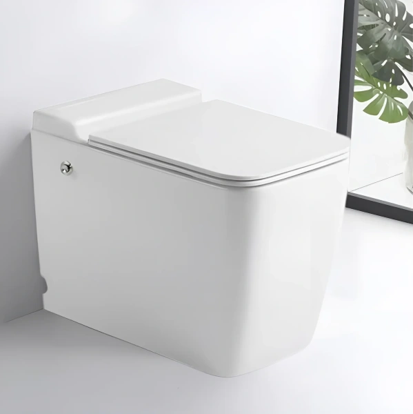 Унитаз приставной импульсного смыва безободковый Cerutti Spa MAIELLA Pulse CT10196 с сиденьем микролифт Унитаз приставной импульсного смыва безободковый Cerutti Spa MAIELLA Pulse CT10196 с сиденьем микролифт