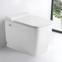 Унитаз приставной импульсного смыва безободковый Cerutti Spa MAIELLA Pulse CT10196 с сиденьем микролифт Унитаз приставной импульсного смыва безободковый Cerutti Spa MAIELLA Pulse CT10196 с сиденьем микролифт
