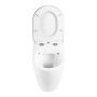 Унитаз приставной безободковый  BelBagno MARINO BB105CBR Унитаз приставной безободковый  BelBagno MARINO BB105CBR