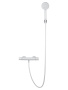 Смеситель для душа с термостатом и гарнитуром Wonzon & Woghand Inn 6 WW-B2029-A-MW белый матовый