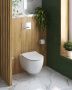 Унитаз подвесной безободковый с функцией биде с сиденьем  Cezares COMFORT CZR-191-TH/BS+CZR-2316-SC Унитаз подвесной безободковый с функцией биде с сиденьем  Cezares COMFORT CZR-191-TH/BS+CZR-2316-SC