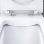 Унитаз-компакт безободковый с сиденьем микролифт Damixa Sirius DX86C8600SC Унитаз-компакт безободковый с сиденьем микролифт Damixa Sirius DX86C8600SC