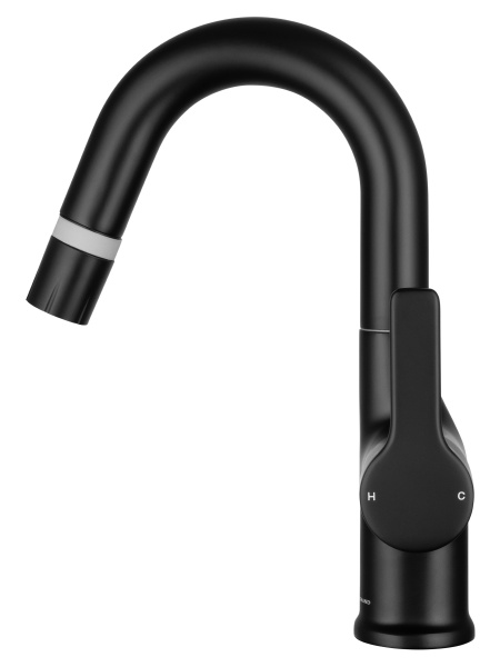 Смеситель для раковины с гигиеническим душем Wonzon & Woghand WW-FE01L212-MB черный матовый