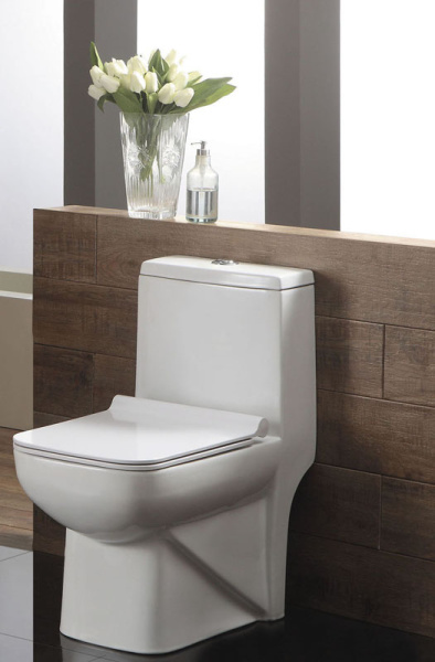 Унитаз-моноблок Azario Zeno 640х365х740 ободковый с сиденьем Slim микролифт AZ-1169 Унитаз-моноблок Azario Zeno 640х365х740 ободковый с сиденьем Slim микролифт AZ-1169