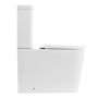 Чаша унитаза безободковая  BelBagno ALBANO BB120CPR Чаша унитаза безободковая  BelBagno ALBANO BB120CPR