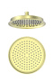 Верхний душ Wonzon & Woghand WW-88DP05-BG золото брашированный