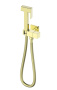 Гигиенический душ Wonzon & Woghand WW-88809904-BG золото брашированный