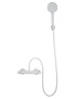 Смеситель для душа с термостатом и гарнитуром Wonzon & Woghand Inn 5 WW-B1005-A-MW белый матовый