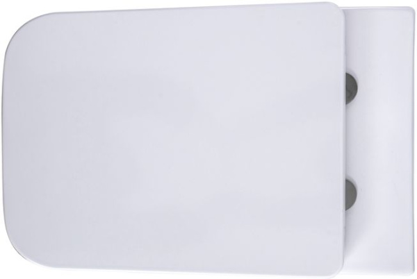 Унитаз подвесной Aquanet Tavr 2.0 F безободковый с микролифтом