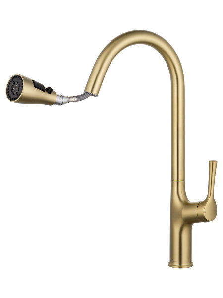 Смеситель для кухонной мойки Wonzon & Woghand WW-AE54123-BG золото брашированный