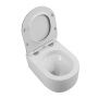 Унитаз подвесной безободковый со смывом  BelBagno SOFT-TOR BB084CH-TOR Унитаз подвесной безободковый со смывом  BelBagno SOFT-TOR BB084CH-TOR