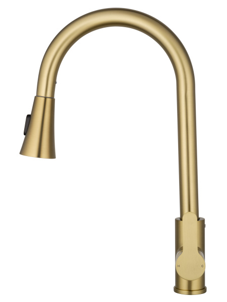 Смеситель для кухонной мойки Wonzon & Woghand WW-121E201L-BG золото брашированный