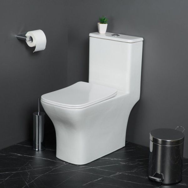 Унитазмоноблок безободковый с сиденьем  BelBagno NEON BB8617CPR-MN/SC Унитазмоноблок безободковый с сиденьем  BelBagno NEON BB8617CPR-MN/SC