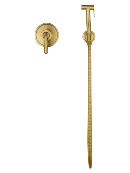 Гигиенический душ Wonzon & Woghand Steam WW-88849008-BG золото брашированный