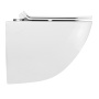 Унитаз Azario AZ-0093UQ3 подвесной безободковый с микролифтом