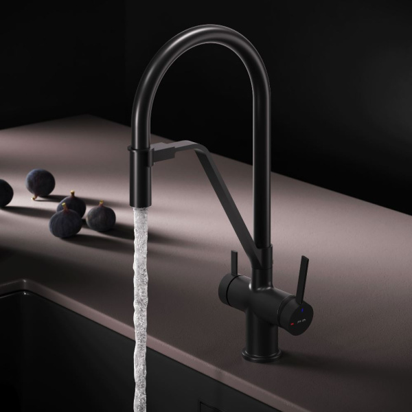 Смеситель для кухонной мойки Am.Pm Func с каналом для фильтра F8F07822 черный матовый