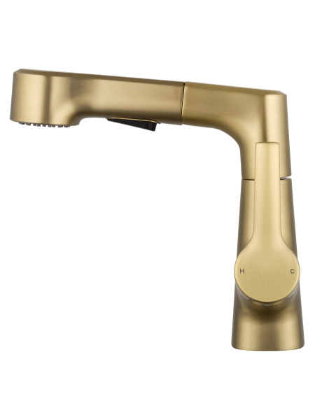 Смеситель для раковины с гигиеническим душем Wonzon & Woghand WW-121B108-BG золото брашированный