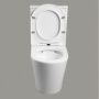 Унитаз напольный безободковый белый Cerutti SPA SELLA GW CT9864 с сиденьем микролифт Унитаз напольный безободковый белый Cerutti SPA SELLA GW CT9864 с сиденьем микролифт