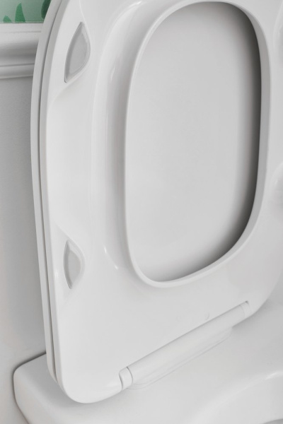 Крышка-сиденье Jacob Delafon Modern Life E77168-0 быстросьемное с микролифтом