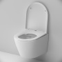 Подвесной унитаз AM.PM Sense FlashClean C741701SC с сиденьем микролифт Подвесной унитаз AM.PM Sense FlashClean C741701SC с сиденьем микролифт