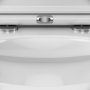 Подвесной унитаз FlashClean с сиденьем микролифт AM.PM Gem C901700SC Подвесной унитаз FlashClean с сиденьем микролифт AM.PM Gem C901700SC