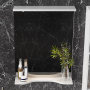 Зеркало Onika Коралл 50 см 205023 с полочкой и подсветкой