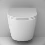 Унитаз подвесной AM.PM Like C801900SC безободковый с микролифтом