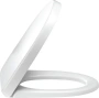 Крышка-сиденье Jacob Delafon Odeon Up E70011-00 быстросьемное с микролифтом