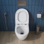 Унитаз приставной  BelBagno SFERA-R BB2141CBR Унитаз приставной  BelBagno SFERA-R BB2141CBR