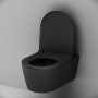 Унитаз подвесной FlashClean с сиденьем микролифт матовый AM.PM Func C8F1701MBSC Унитаз подвесной FlashClean с сиденьем микролифт матовый AM.PM Func C8F1701MBSC