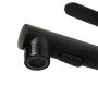 Смеситель для раковины с выдвижным изливом  BelBagno  BB-LVMD-NERO-W0 черный матовый Смеситель для раковины с выдвижным изливом  BelBagno  BB-LVMD-NERO-W0 черный матовый
