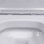 Подвесной унитаз безободковый с сиденьем микролифт Damixa Sirius DX86C1700SC Подвесной унитаз безободковый с сиденьем микролифт Damixa Sirius DX86C1700SC