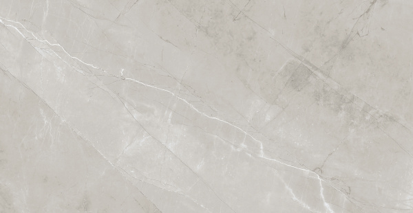 Плитка керамогранитная AZARIO VIVYEN GREY 60х120 Glossy F4060821120G