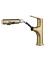 Смеситель для раковины с гигиеническим душем Wonzon & Woghand WW-AE4151-BG золото брашированный
