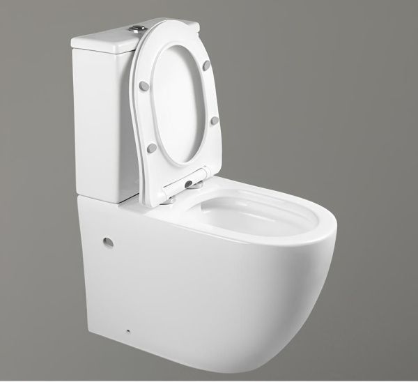 Унитаз напольный безободковый белый Cerutti SPA ORLTER CT9867 с сиденьем микролифт Унитаз напольный безободковый белый Cerutti SPA ORLTER CT9867 с сиденьем микролифт