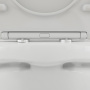 Унитаз-компакт безободковый с сиденьем микролифт Damixa Skyline DX35C8600SC Унитаз-компакт безободковый с сиденьем микролифт Damixa Skyline DX35C8600SC