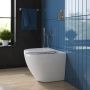 Унитаз приставной  BelBagno SFERA-R BB2141CBR Унитаз приставной  BelBagno SFERA-R BB2141CBR