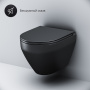 Унитаз подвесной AM.PM Spirit V2.0 FlashClean с сиденьем микролифт C701700MBSC Унитаз подвесной AM.PM Spirit V2.0 FlashClean с сиденьем микролифт C701700MBSC