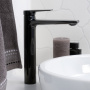 Смеситель для раковины WasserKRAFT Glan 6603H черный глянцевый