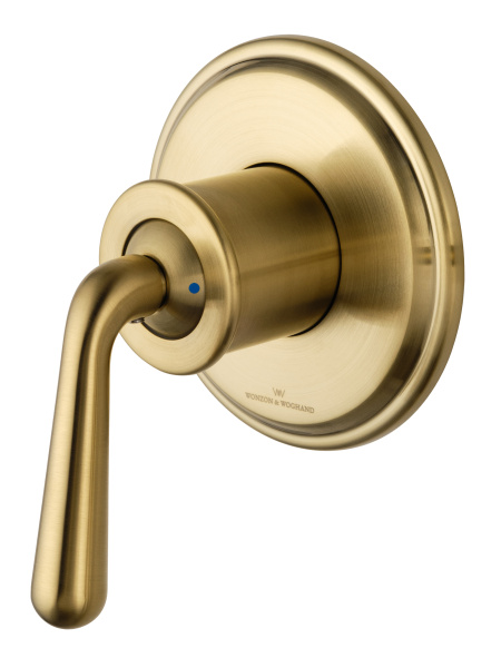 Гигиенический душ Wonzon & Woghand Steam WW-88849008-BG золото брашированный