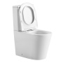Унитаз-компакт Abber Bequem AC1112TMW с микролифтом