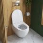 Унитаз подвесной безободковый с функцией биде с сиденьем  Cezares COMFORT CZR-191-TH/BS+CZR-2316-SC Унитаз подвесной безободковый с функцией биде с сиденьем  Cezares COMFORT CZR-191-TH/BS+CZR-2316-SC