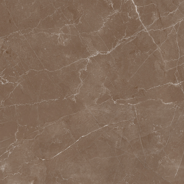 Плитка керамогранитная AZARIO ESSENS CHOCO 60х60 High Glossy E112082160HG