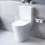 Унитаз-компакт безободковый с сиденьем микролифт Damixa Sirius DX86C8600SC Унитаз-компакт безободковый с сиденьем микролифт Damixa Sirius DX86C8600SC