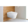 Унитаз Azario Ollin AZ-0513R подвесной безободковый с микролифтом