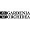 GARDENIA ORCHIDEA