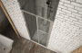 Душевая дверь в нишу 100x200 Bravat Drop BD100.4120A Душевая дверь в нишу 100x200 Bravat Drop BD100.4120A