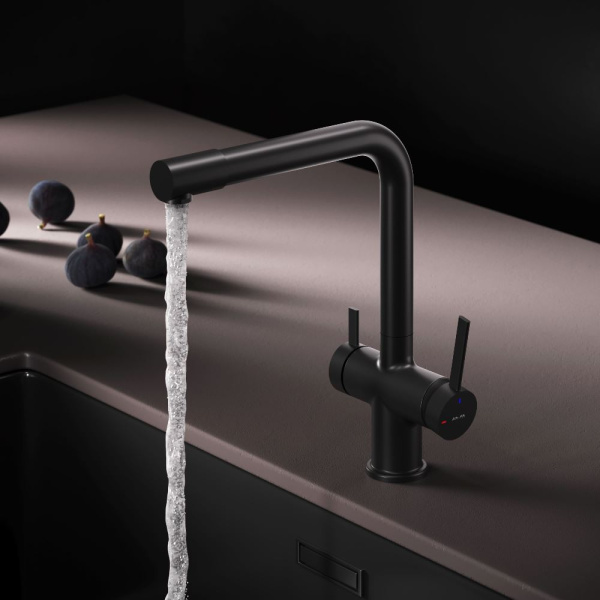 Смеситель для кухонной мойки Am.Pm Func с каналом для фильтра F8F05722 черный матовый