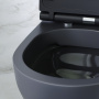Унитаз подвесной AM.PM Spirit V2.0 FlashClean с сиденьем микролифт C701700MBSC Унитаз подвесной AM.PM Spirit V2.0 FlashClean с сиденьем микролифт C701700MBSC