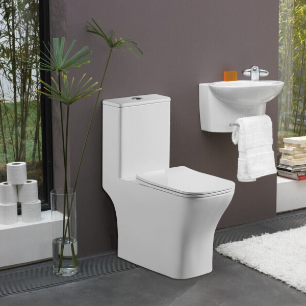 Унитаз моноблок Azario Lodi 665x350x750 напольный горизонтальный слив сиденье дюропласт микролифт AZ-8617 Унитаз моноблок Azario Lodi 665x350x750 напольный горизонтальный слив сиденье дюропласт микролифт AZ-8617